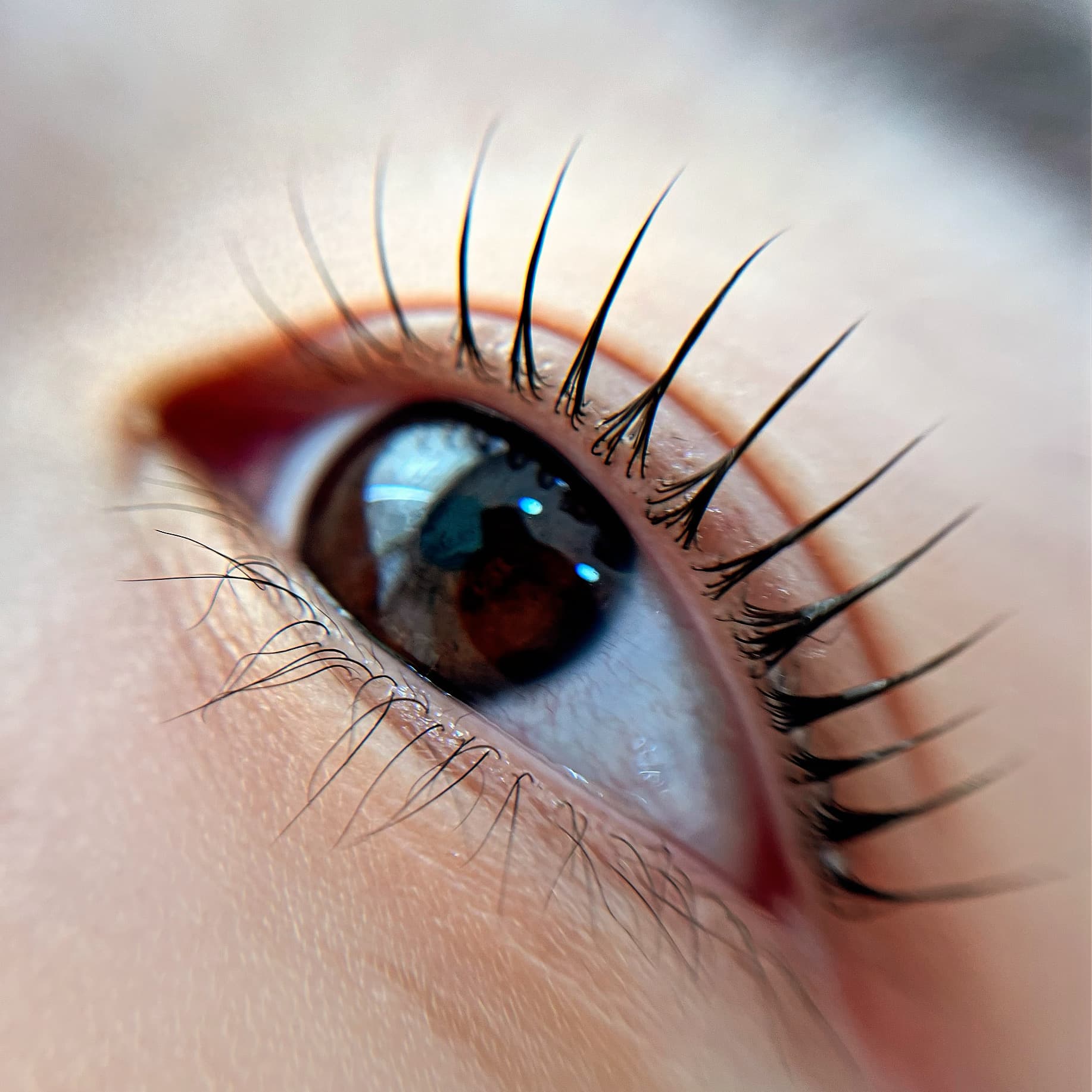 속눈썹 뷰러펌 4